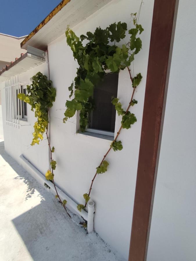 House Of Sun Apartment Fanes  Ngoại thất bức ảnh
